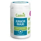 Supplement for dogs Canvit Junior Maxi Dogs 230 gr