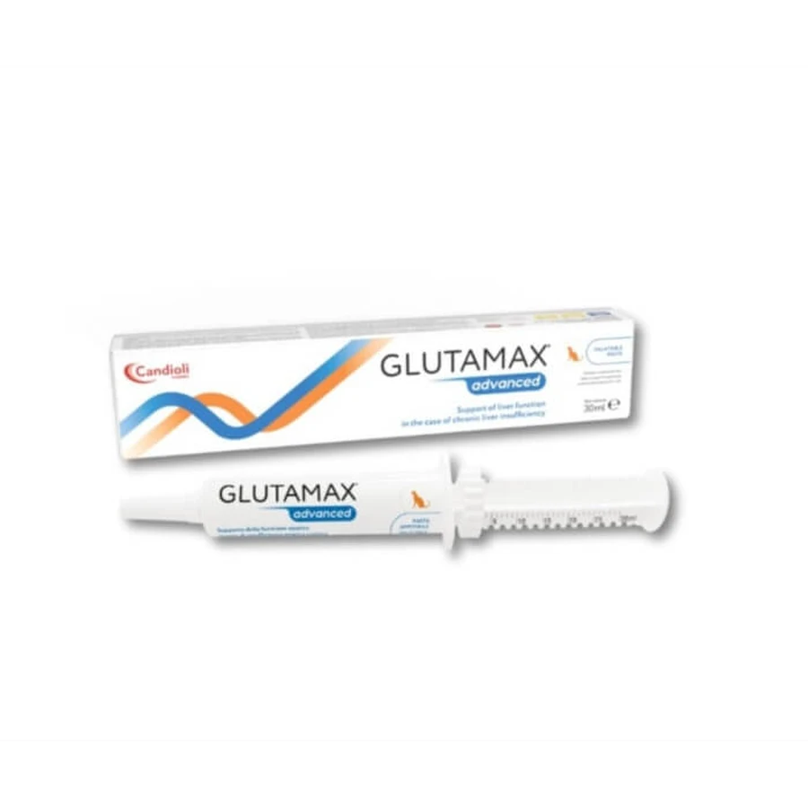 GLUTAMAX advanced paste 30 ml
