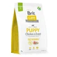 BRIT Care Sustainable Puppy, XS-XL, Chicken and Insects, dry food for junior dogs, digestive system, 3kg