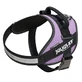 JULIUS-K9 IDC Power, ham câini, 2XL, 40-70kg, mov
