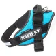 JULIUS-K9 IDC Power, ham câini, XS, 4-7kg, aqua marine