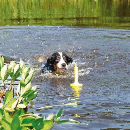 TRIXIE, MOT-Aqua, juguete flotante para perros, poliuretano, 29cm, amarillo
