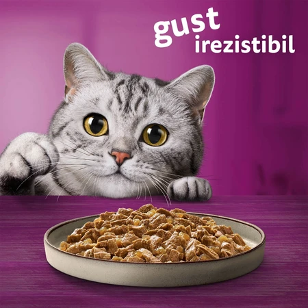 WHISKAS Pure Delight Classic Selections, Beef and Chicken, sachet wet cat food, (in aspic), multipack, 85g x 4