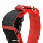 JULIUS-K9 Color & Gray, regulowana obroża z uchwytem dla psa, nylon, 40mm x 38-53cm, czerwona z szarym: ceny i cechy
