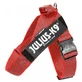 JULIUS-K9 IDC Color &amp; Gray, ham bandă câini, M, 14-25kg, roşu