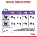 ROYAL CANIN Appetite Control Care Adult droog kattenvoer appetite control, 400g