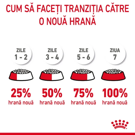 ROYAL CANIN Appetite Control Care Adult droog kattenvoer appetite control, 400g