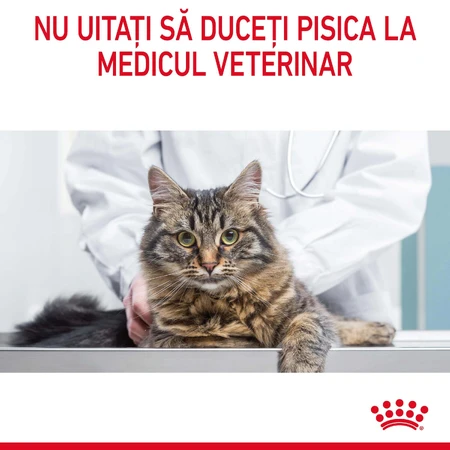 ROYAL CANIN Appetite Control Care Adult droog kattenvoer appetite control, 400g