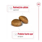 ROYAL CANIN Maxi Adult, Trockenfutter für Hunde, 3kg