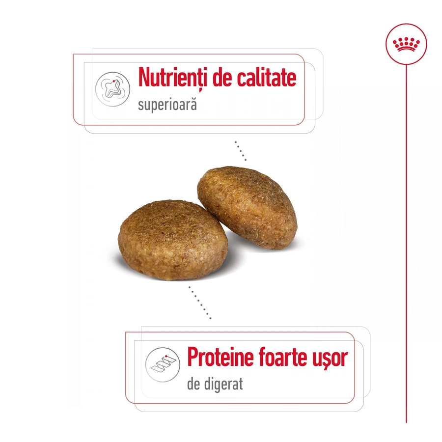 ROYAL CANIN Maxi Adult, Trockenfutter für Hunde, 3kg