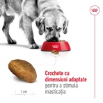 ROYAL CANIN Maxi Adult, Trockenfutter für Hunde, 3kg