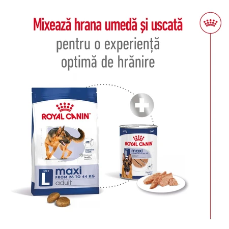ROYAL CANIN Maxi Adult, Trockenfutter für Hunde, 3kg
