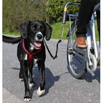 Juego de bicicletas de lujo Trixie
