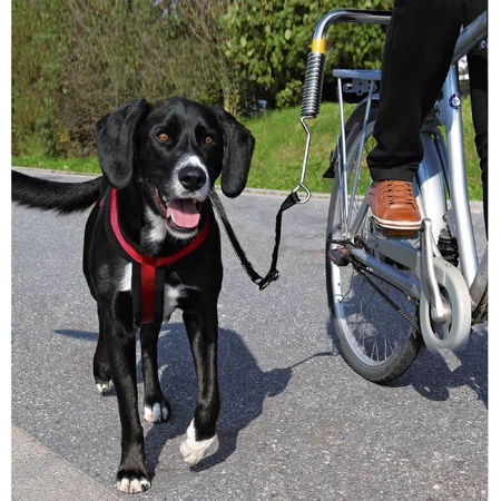 Juego de bicicletas de lujo Trixie