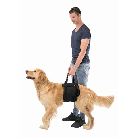 TRIXIE Hebehilfe, M, Rehabilitationsgeschirr für Hunde, Neopren, ⌀ 60-65cm