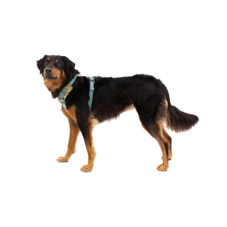 RUFFWEAR Front Rage Spring Mountains, doppia pettorina (petto e schiena) per addestramento cani, regolabile, riflettente, verde e arancione, XS(33-43cm)
