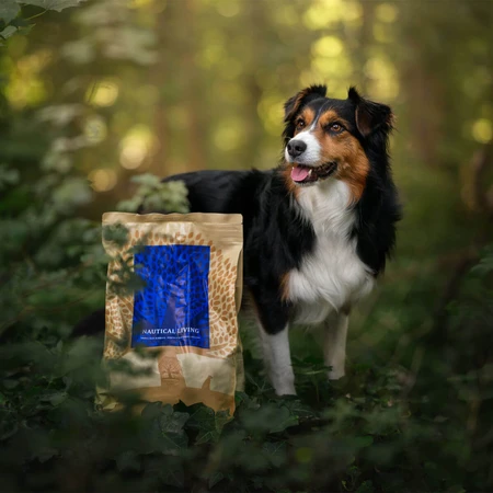 ESSENTIAL Nautical Living, XS-S, Lachs und Forelle, getreidefreies Trockenfutter für Hunde, 2,5 kg