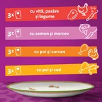 WHISKAS Tasty Mix Chef's Choice, Salmon, Beef, Chicken & Poultry, Chicken & Turkey, Chicken & Cod, sachet wet cat food, (in sauce), multipack, 85g x 12