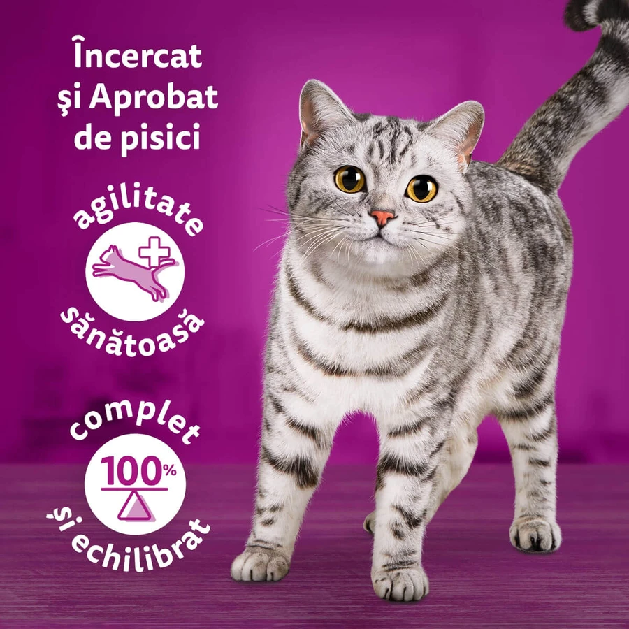 WHISKAS Tasty Mix Chef's Choice, Salmon, Beef, Chicken & Poultry, Chicken & Turkey, Chicken & Cod, sachet wet cat food, (in sauce), multipack, 85g x 12