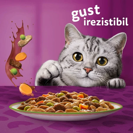 WHISKAS Tasty Mix Chef's Choice, Salmon, Beef, Chicken & Poultry, Chicken & Turkey, Chicken & Cod, sachet wet cat food, (in sauce), multipack, 85g x 12