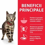 Hill's SP Feline Adult Chicken, 300 g