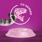 WHISKAS Adult Sterile, Salmon, dry food for sterilized cats, 1.4kg