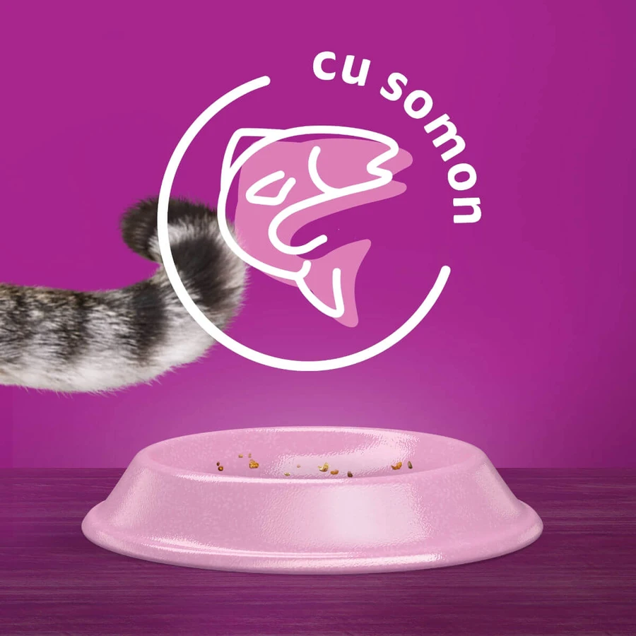 WHISKAS Adult Sterile, Salmon, dry food for sterilized cats, 1.4kg