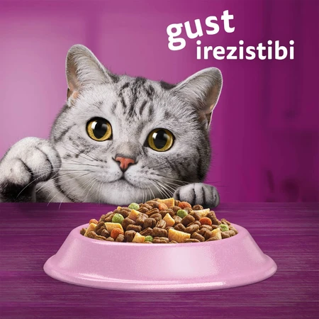 WHISKAS Adult Sterile, Salmon, dry food for sterilized cats, 1.4kg