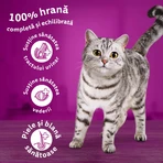 WHISKAS Adult Sterile, Salmon, dry food for sterilized cats, 1.4kg