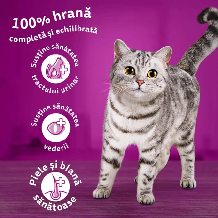 WHISKAS Adult Sterile, Salmon, dry food for sterilized cats, 1.4kg