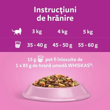 WHISKAS Adult Sterile, Salmon, dry food for sterilized cats, 1.4kg