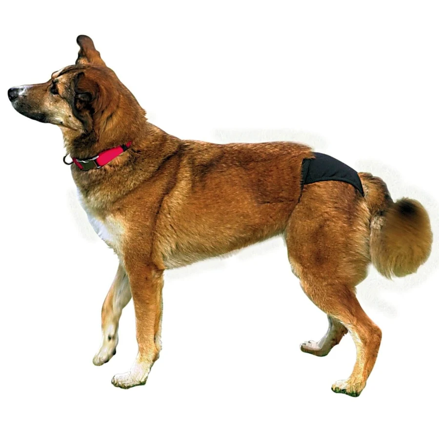Trixie Onderbroek voor Honden 60-70 cm XL 60-70 cm