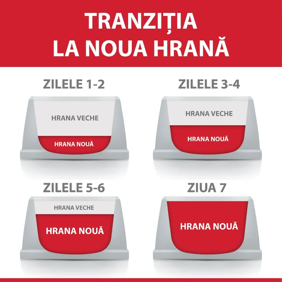 HILL'S Science Plan Kitten Sterilized, Huhn, Trockenfutter für sterilisierte Jungkatzen, 3kg