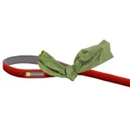 RUFFWEAR Front Rage Red Canyon, Leine Leine, Kontrollgriff, rot, XS-XL(1.5m)
