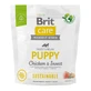 BRIT Care Sustainable Puppy, XS-XL, Kip en Insecten, droogvoer voor jonge honden, spijsverteringsstelsel, 1kg