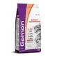 GEMON Kitten, Zalm en Rijst, droogvoer voor jonge katten, 2kg