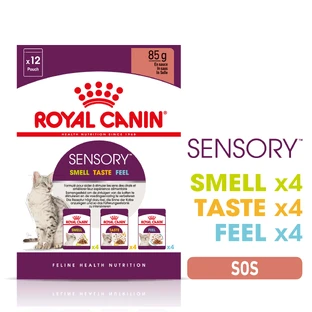 ROYAL CANIN Sensory Sensory Stimulating Wet Cat Food (in Sauce), bax, 85g x 12 Stück