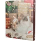 TRIXIE Christmas Advent Calendar, small animal reward box, 499g