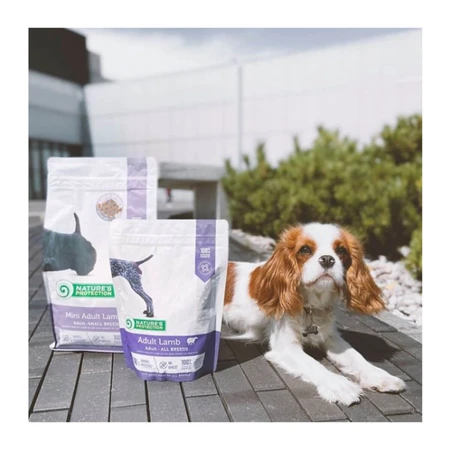 NATURES PROTECTION Mini Adult, XS-S, Cordero, alimento seco para perros, 2kg