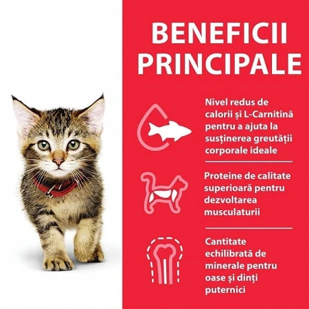 Hill's SP Feline Gatito Pollo, 1,5 Kg