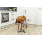 TRIXIE, Set Hundenäpfe + 2 Näpfe, verstellbare Höhe, Metall, L-XL(2.8l, ⌀24cm)