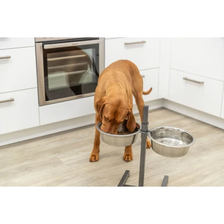 TRIXIE, Set Hundenäpfe + 2 Näpfe, verstellbare Höhe, Metall, L-XL(2.8l, ⌀24cm)