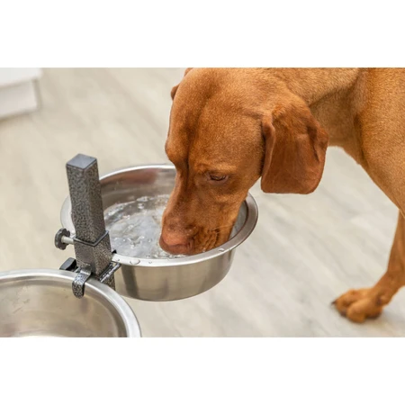 TRIXIE, Set Hundenäpfe + 2 Näpfe, verstellbare Höhe, Metall, L-XL(2.8l, ⌀24cm)