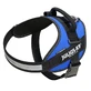 JULIUS-K9 IDC Power, pettorina per cani, 2XL, 40-70kg, blu