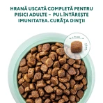 OPTIMEAL, Pollo, comida seca para gatos, 1,5kg