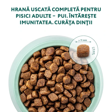 OPTIMEAL, Pollo, comida seca para gatos, 1,5kg