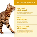 OPTIMEAL, Pollo, comida seca para gatos, 1,5kg