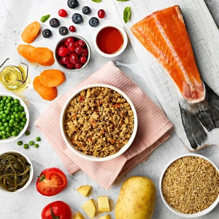 NATURO Mini, XS-S, Lachs und Reis, Beutel mit feuchtem Hundefutter, (im eigenen Saft), 150g