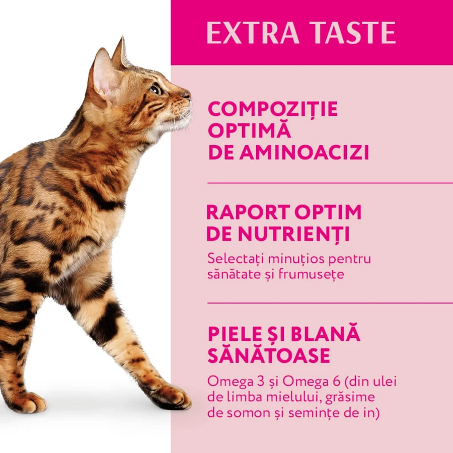 OPTIMEAL, Boeuf, croquettes pour chat, 700g