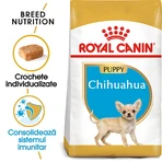 ROYAL CANIN Chiot Chihuahua, nourriture sèche pour chiens juniors, 1.5kg